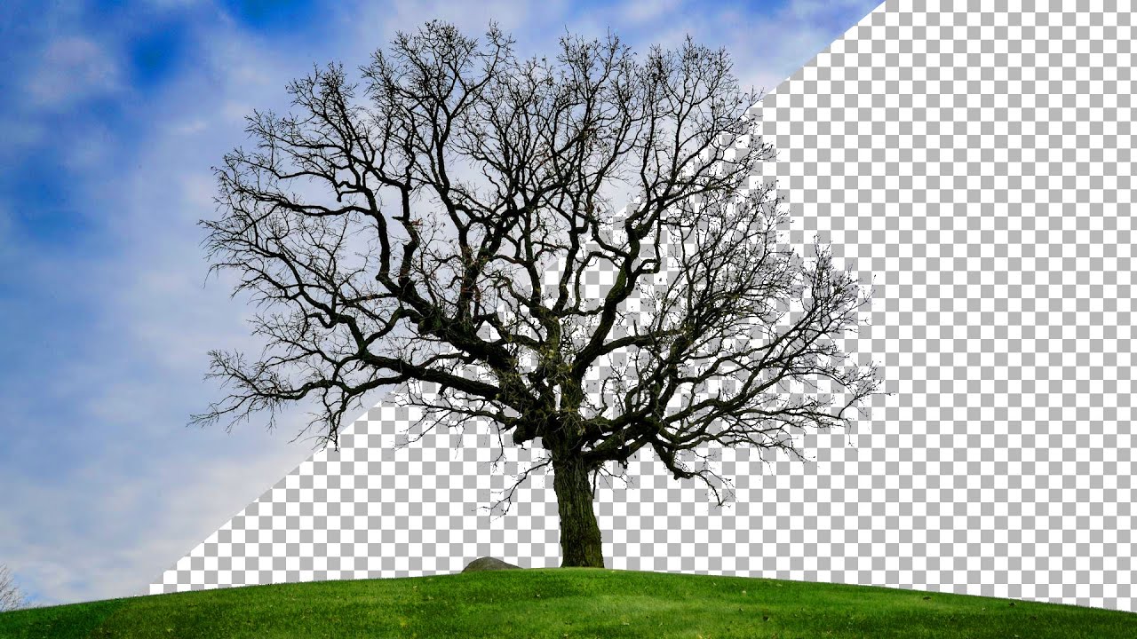Как удалить сложный фон с изображений в Photopea