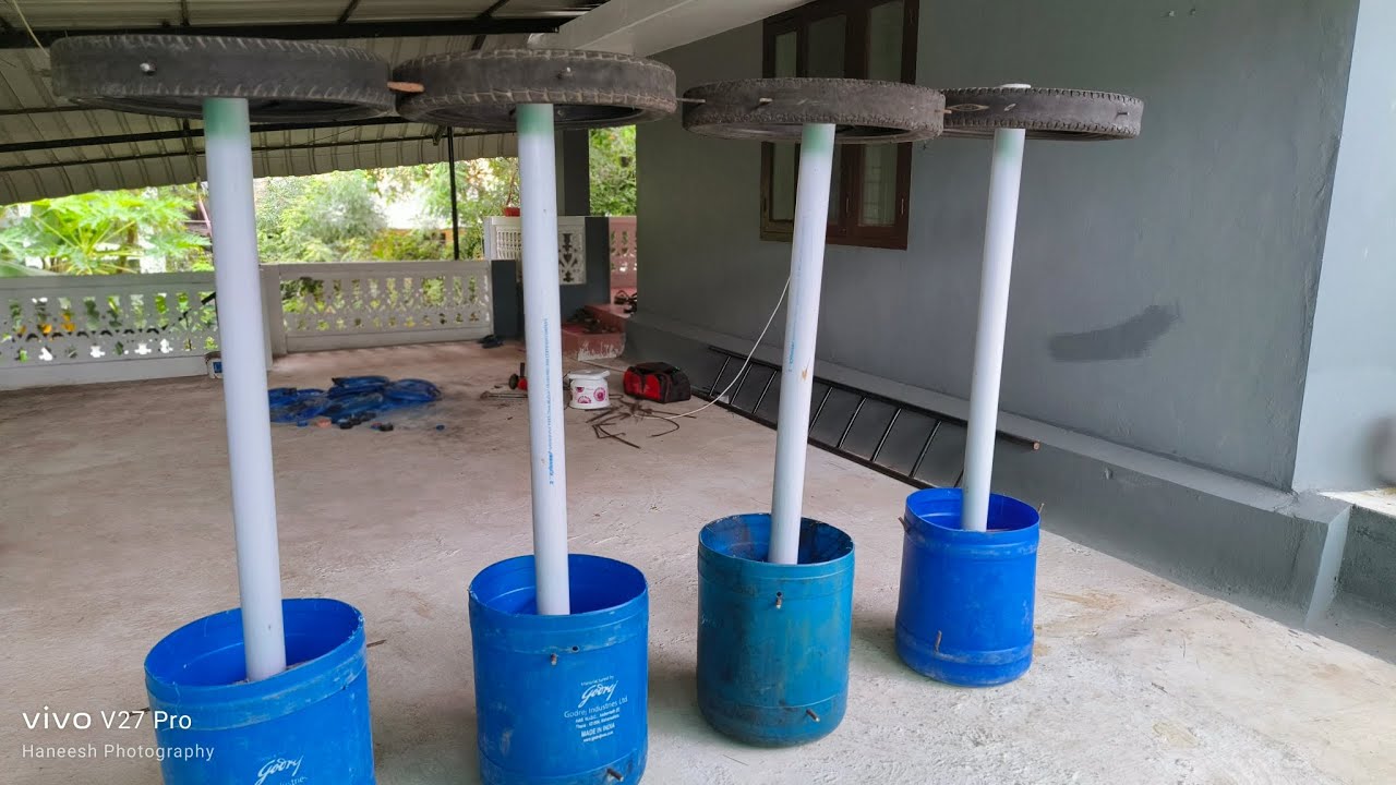 ടെറസിൽ ഡ്രാഗൺ ഫ്രൂട്ട് എങ്ങനെ കൃഷി ചെയ്യണമെന്ന് അറിയാമോ?|Mango Vlogs Malayalam|Dragon Fruit Drum