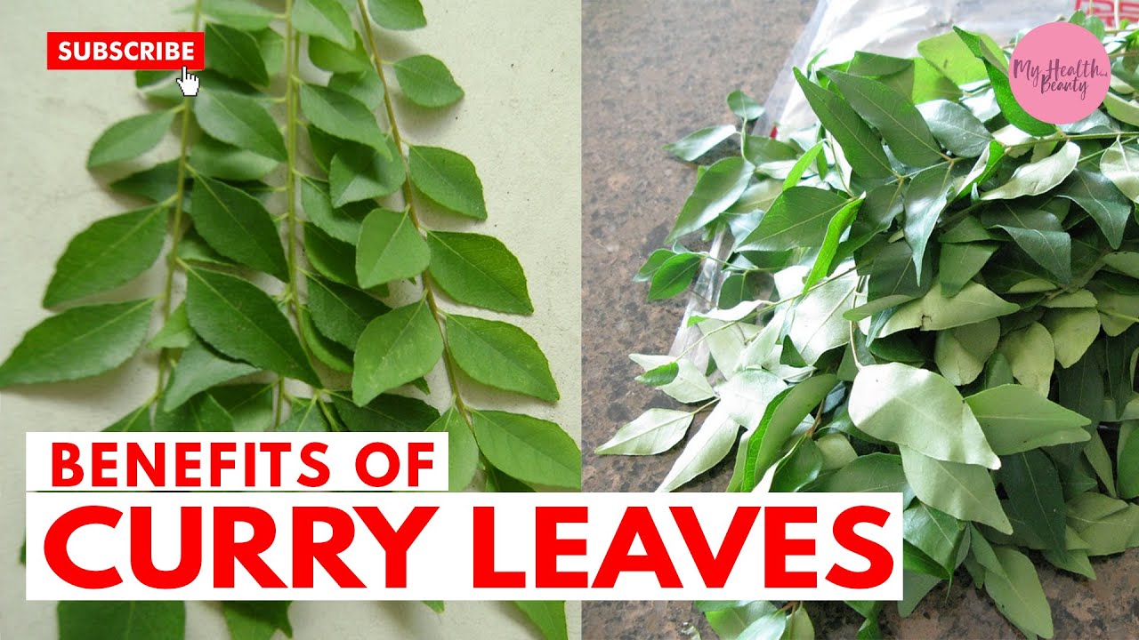Curry leaves benefits l  Curry Leaves For Hair, Weight Loss & Skin