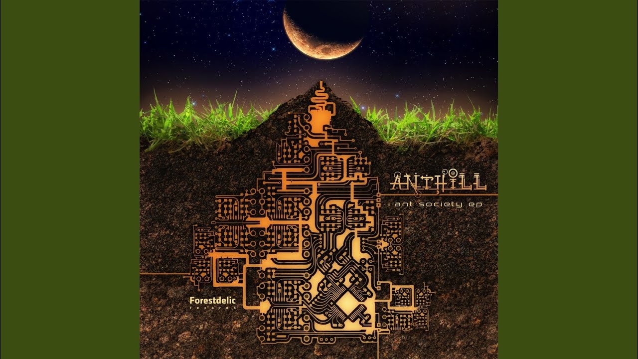 Ant Society (Original Mix)