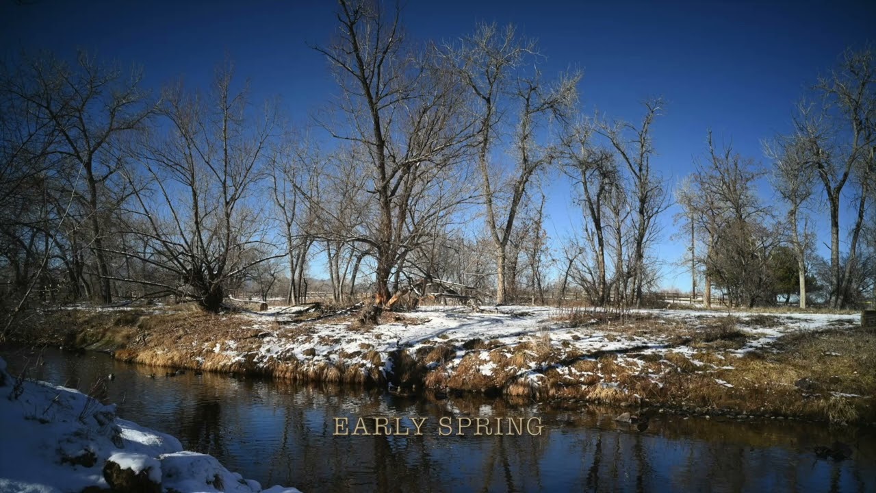 Early Spring