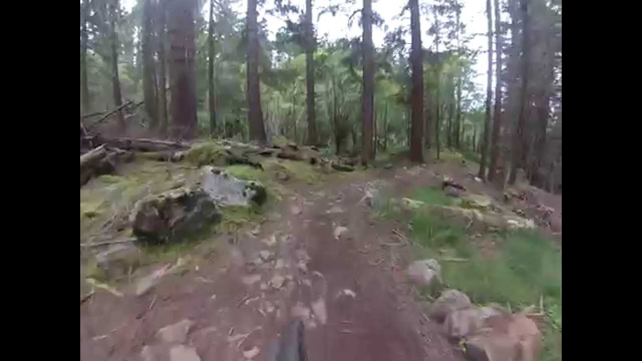10 Under the Ben 2014
