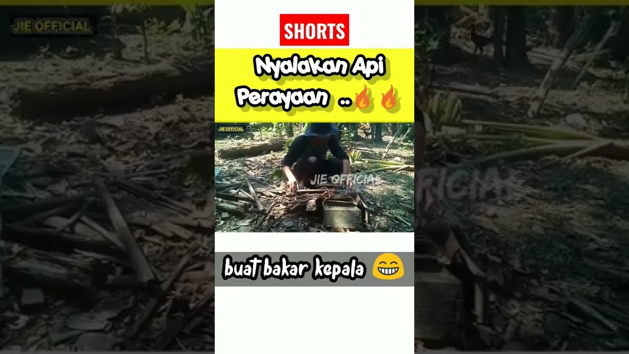 Nyalakan Api Perayaan #shorts #iduladha2022 #qurban #kambing