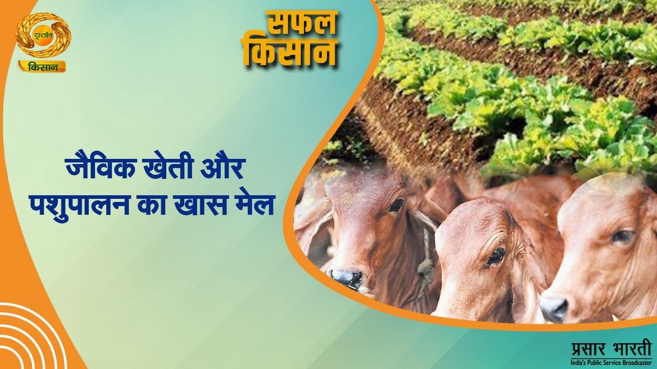 Safal Kisan | सफल किसान: जैविक खेती और पशुपालन का खास मेल | DD Kisan | March 2, 2026