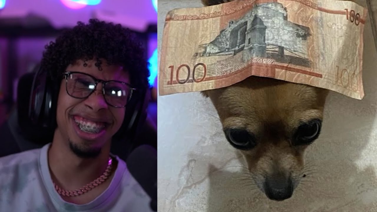 RDjavi Reacciona a Las Mascotas De Espectadores En Directo 🐶