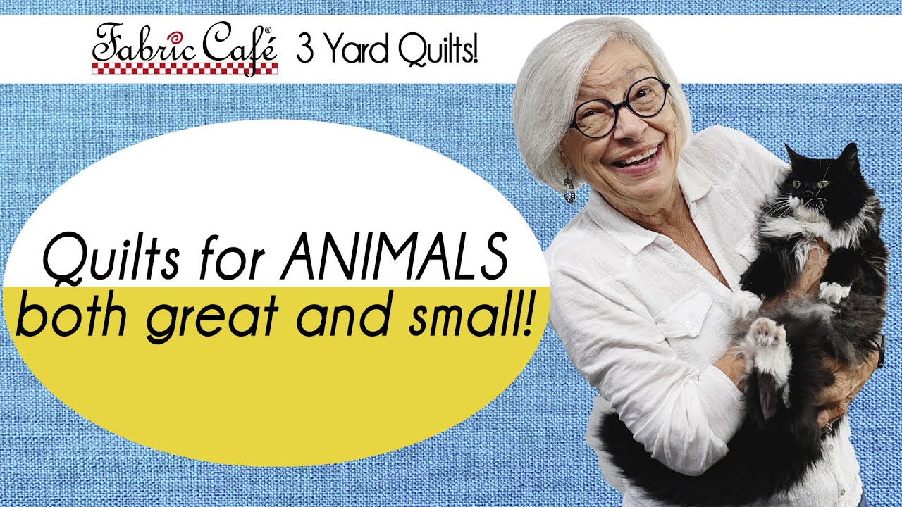 Quilts PERFECT for Animal Lovers! - 3 Yard Quilts
