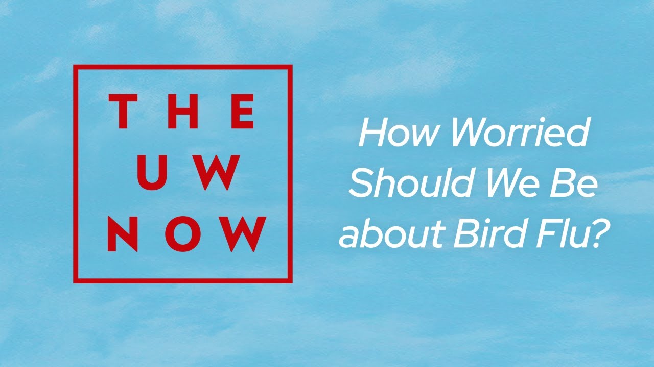 The UW Now Livestream: How Worried Should We Be About Bird Flu?