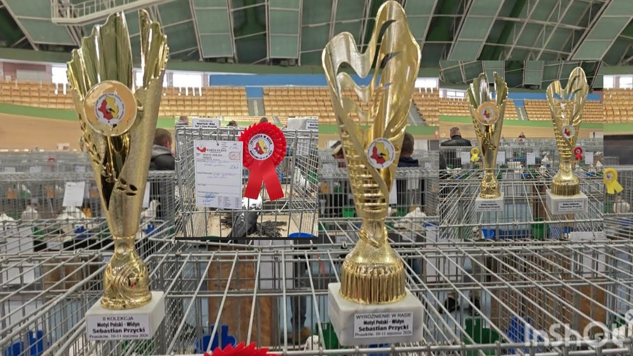 Podsumowanie wystawy😊🏆Oj działo się 😉