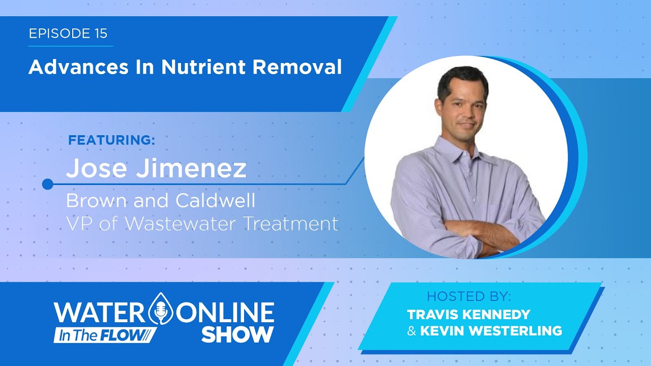 Advances In Nutrient Removal