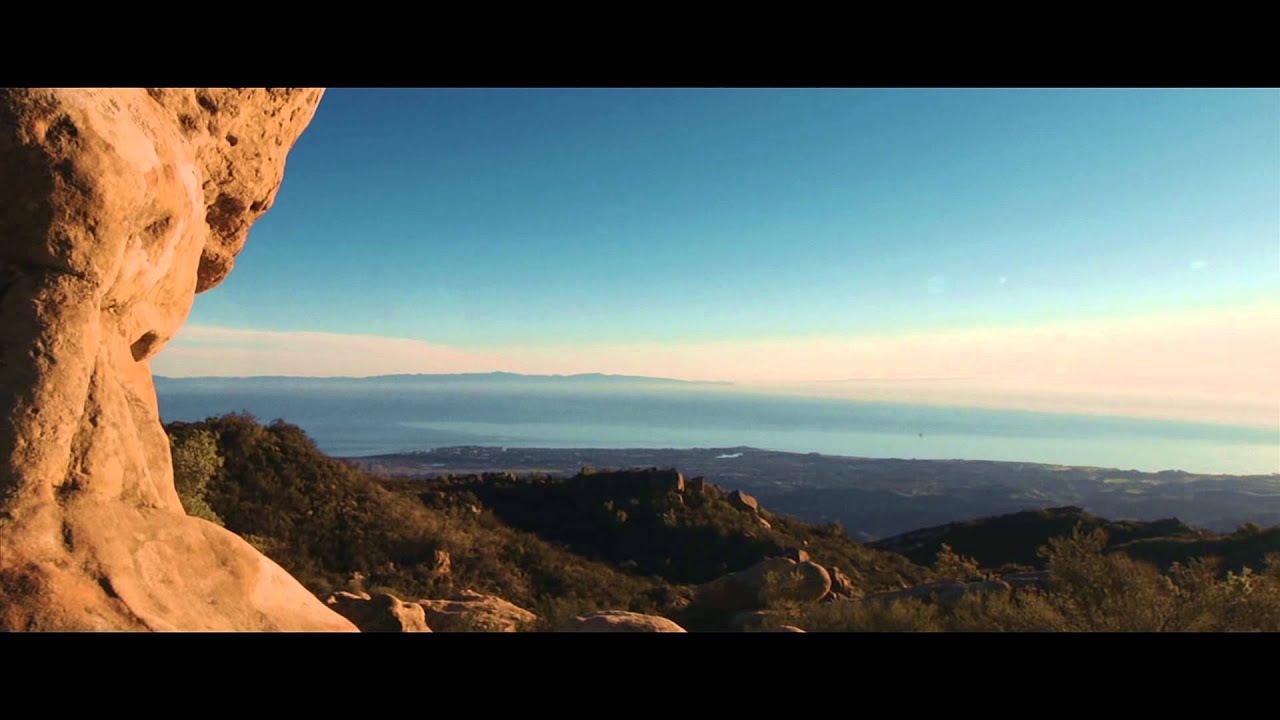 Noveller - 'Pulse Point'