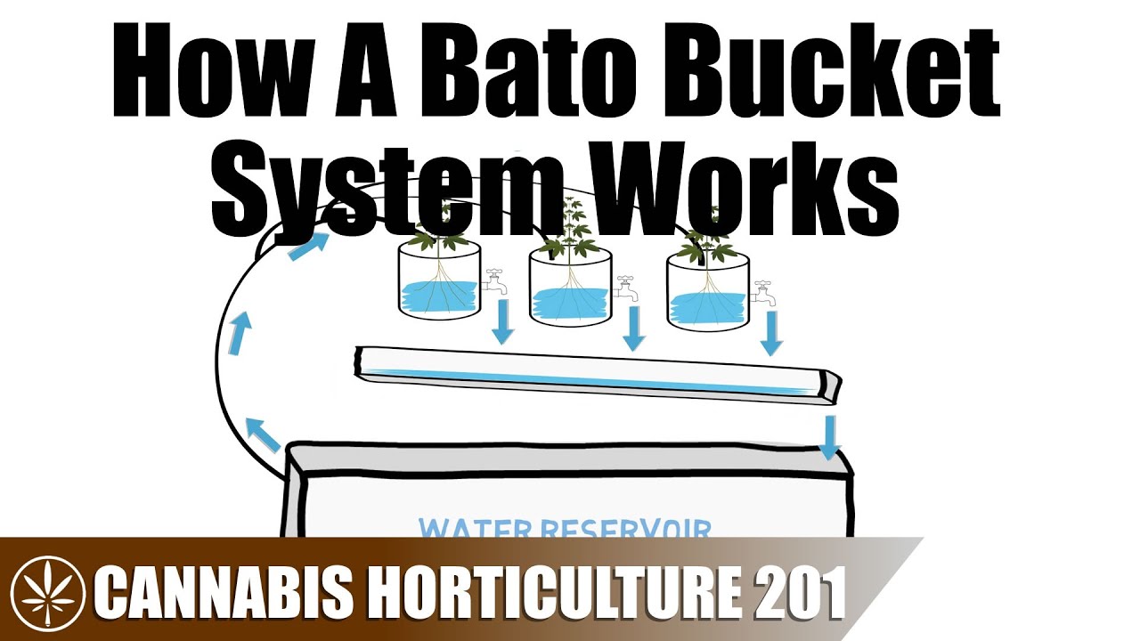 How a Bato Bucket Hydroponic System Works