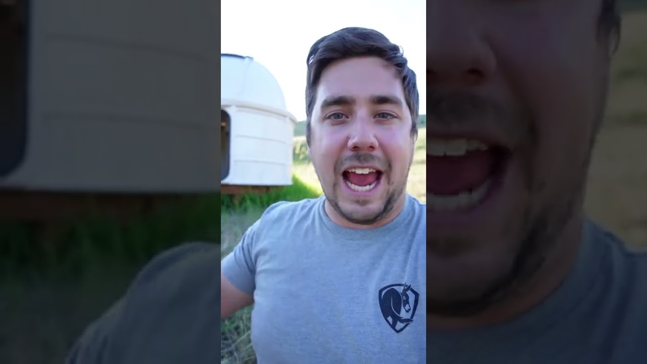 How JWST compares to our cameras and lenses!