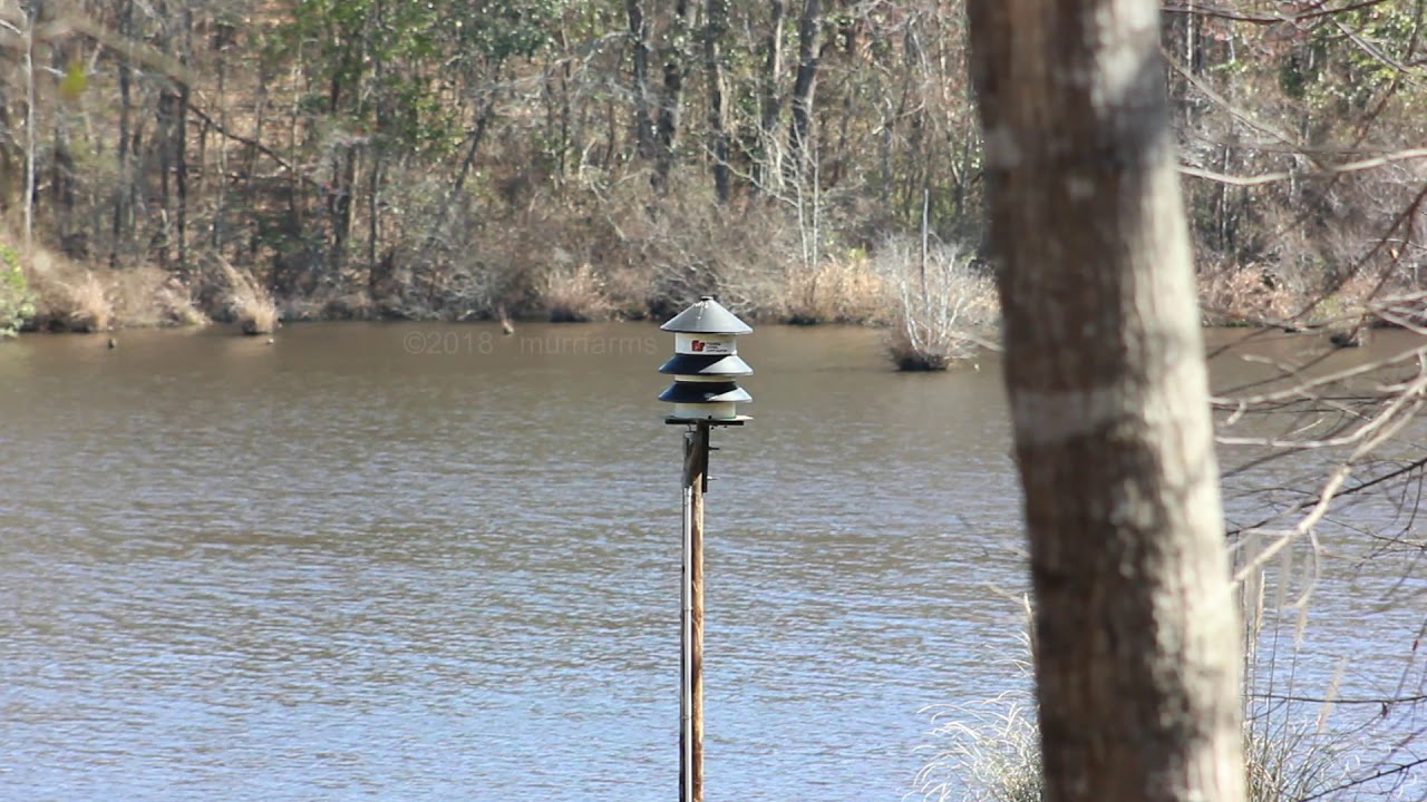 Federal Signal Model 2 siren test