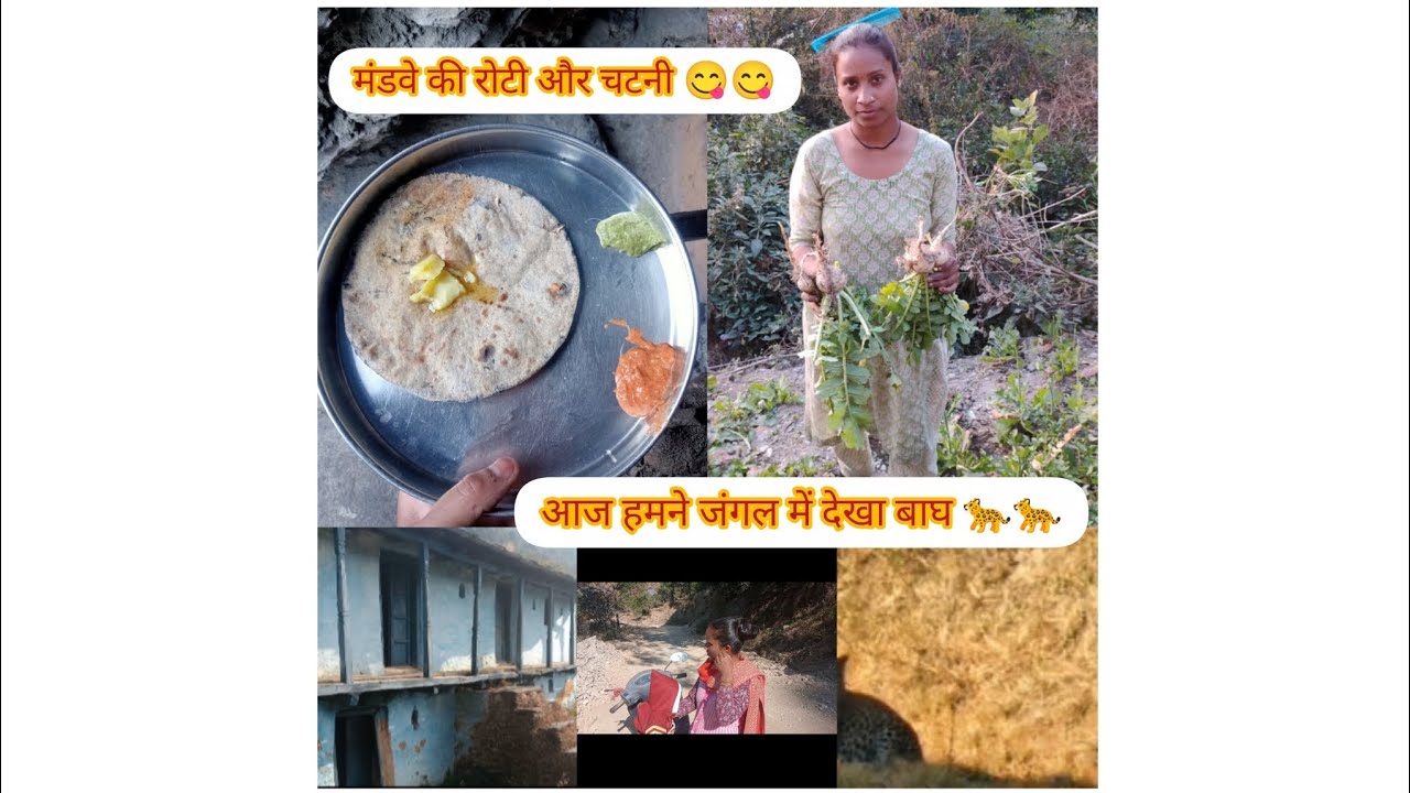 पहाड़ी स्पेशल नाश्ता पोषण से भरपूर || गुलदार का आतंक || पहाड़ी सब्जी मूला #पहाड़ीculture #nature 