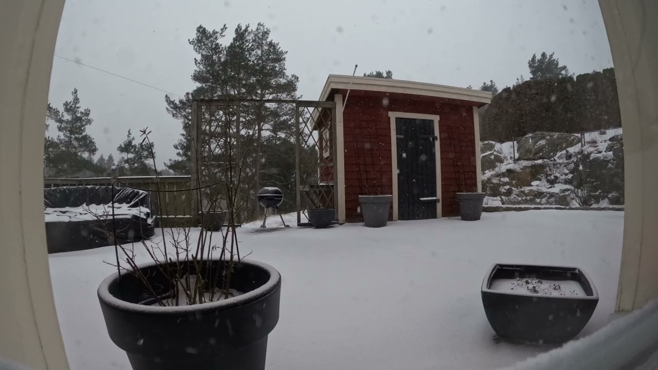 Snow fall timelaps