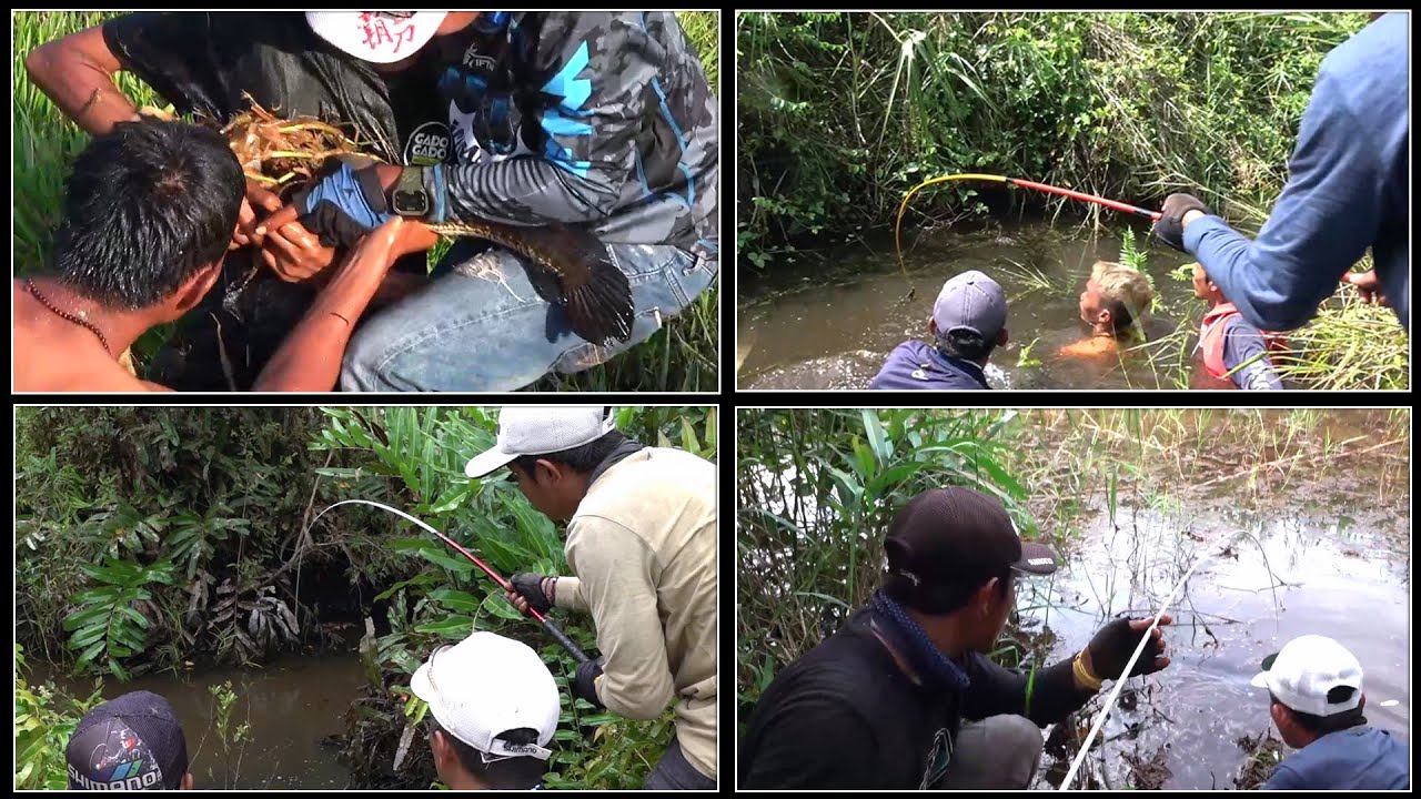 Wedannnn!!! Tarikannya bikin panik para pemancing [MIX video] #SG-303