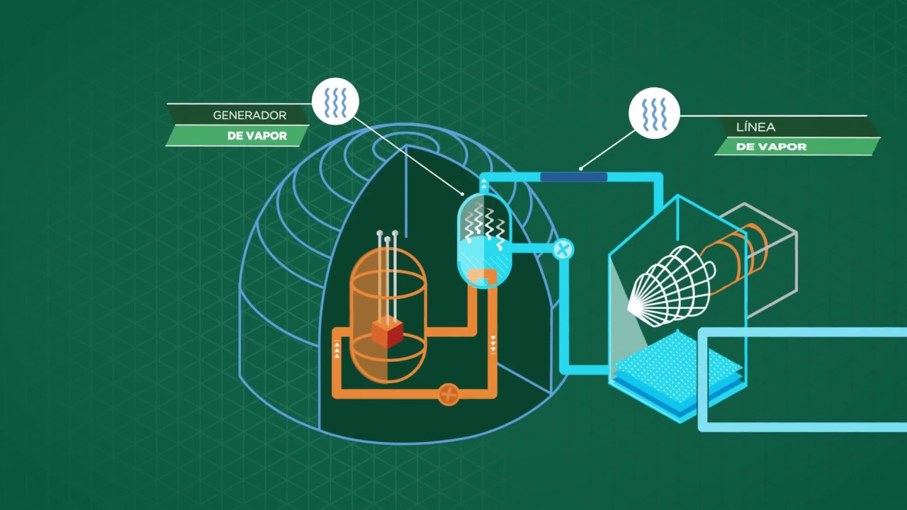 Argentina Nuclear | NUCLEOELÉCTRICA ARGENTINA SA  | Minem 2017
