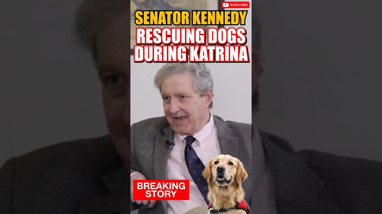 Senator Kennedy on Rescuing Dogs During Katrina! 🔥 #ytviral