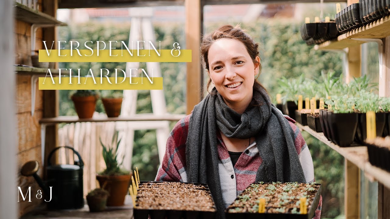 Verspenen en afharden van eenjarigen - MAY & JUNE