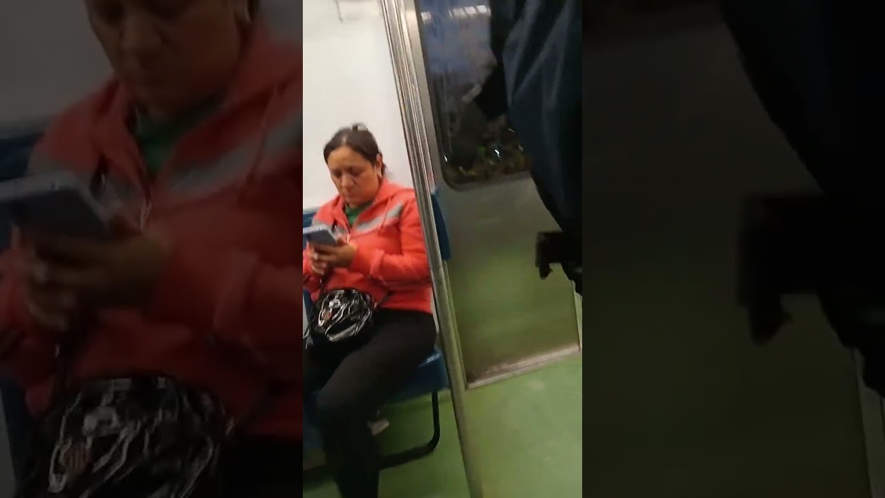 Recorrido de la estación indios verdes a la raza 