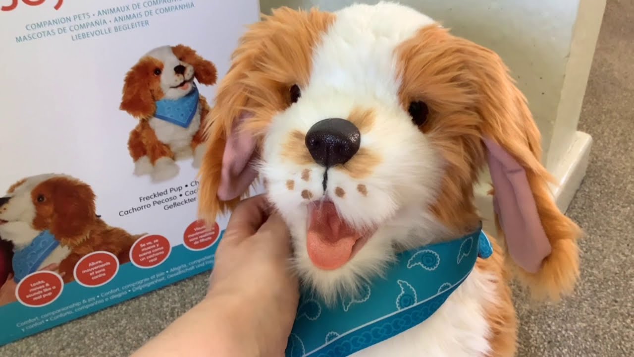 Joy for All Freckled Pup Unboxing, Demonstration & Review