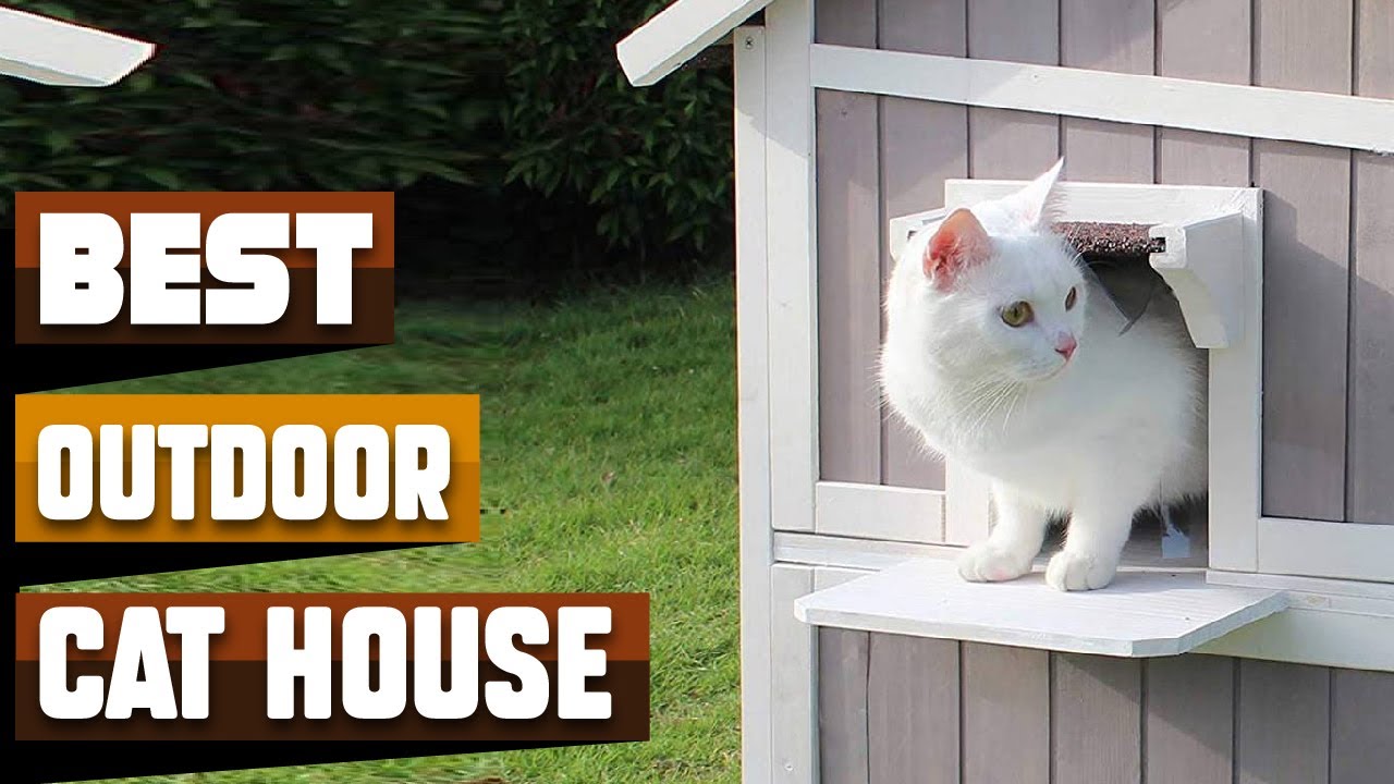 Best Outdoor Cat House In 2026 - Top 10 Outdoor Cat Houses Review