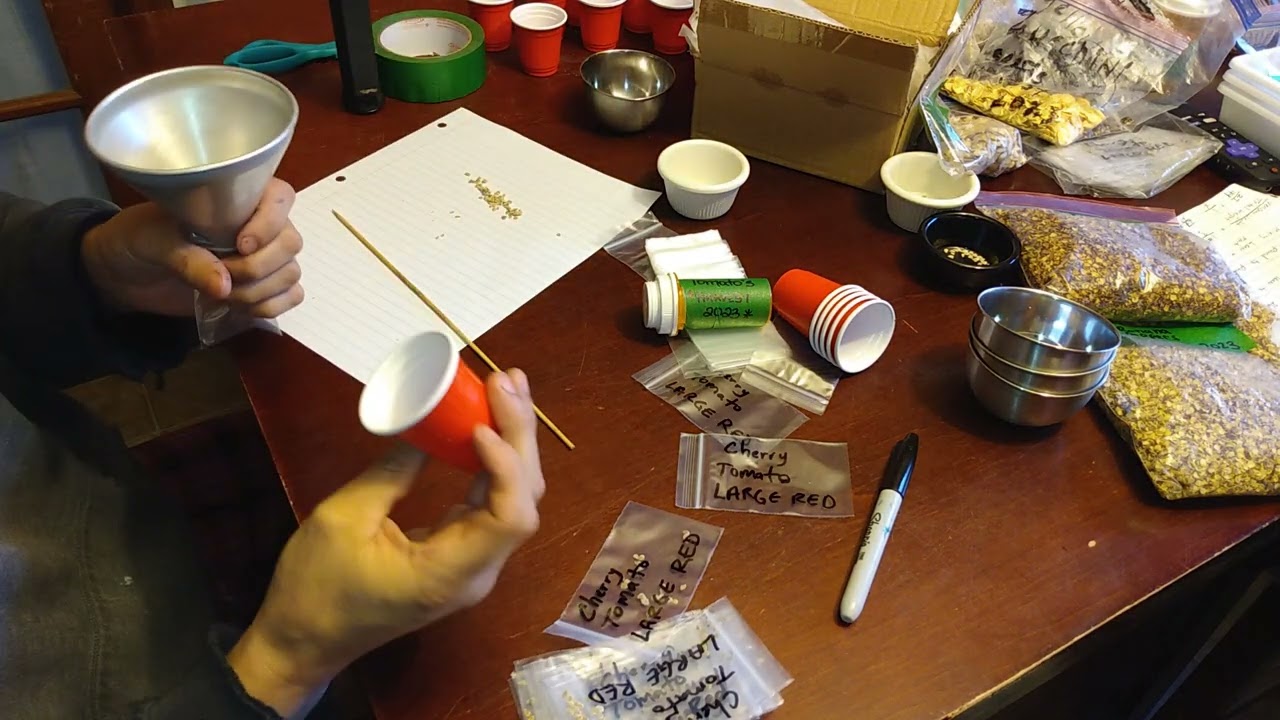 Seed Packaging and Sorting Process