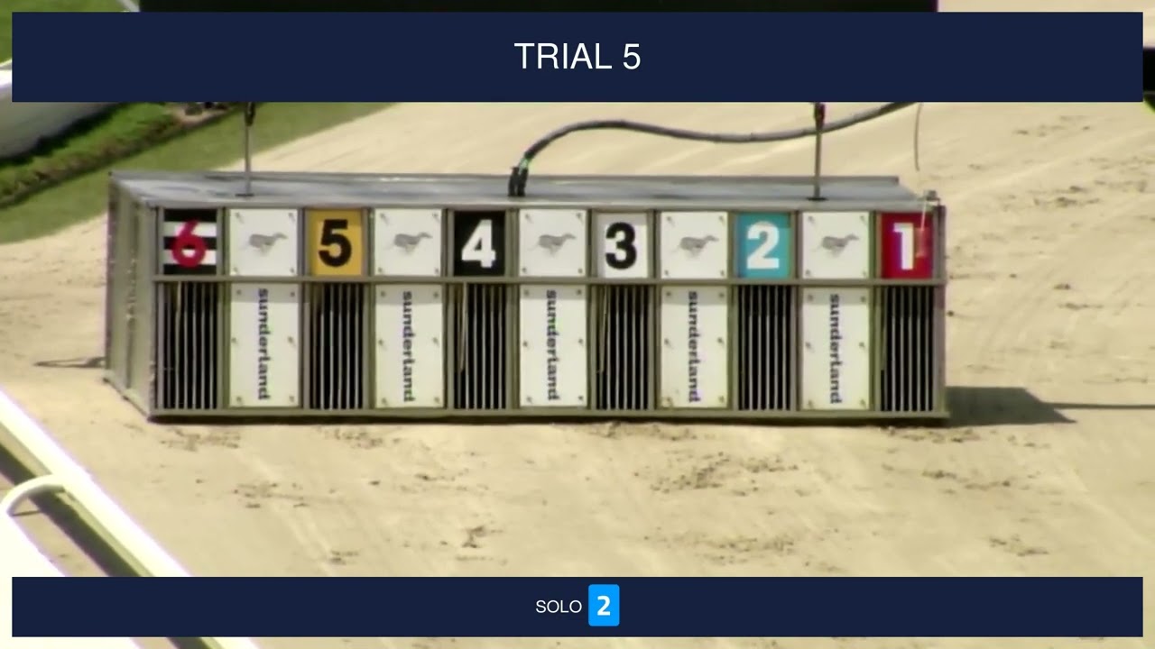 Sunderland Trials on 17th June 2024