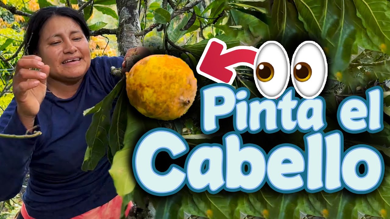 Pinto el cabello de mi ABUELA sin TINTE (es FRUTA) | Erika Aentura