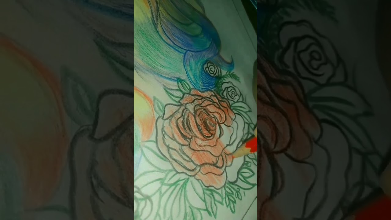 COLOURED SKETCH 