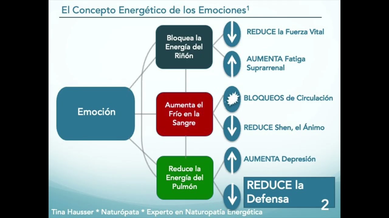 3 Ponencia Naturopat&iacute;a Energ&eacute;tica: Or&iacute;genes y Casos Pr&aacute;cticos Desequilibrio Emociones/S Inmunol&oacute;gico