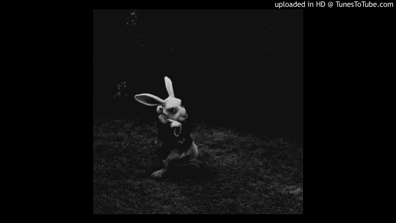Format:B - Rabbit Hunt (Original Mix)
