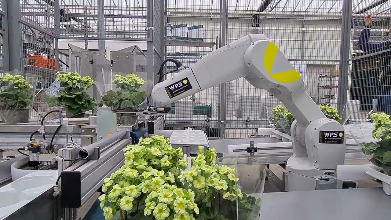 WPS Robotics