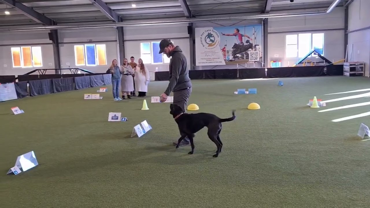 Rally Obedience Europa Open 2026 febr 7-8.