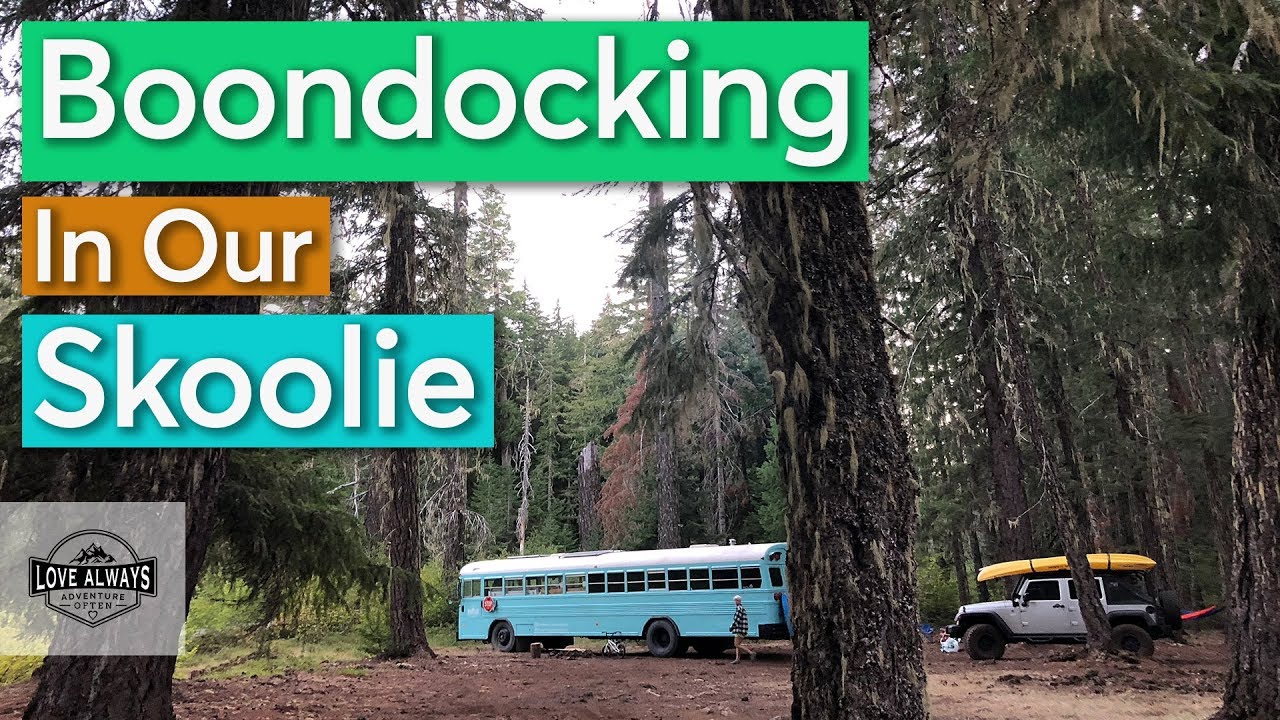 Boondocking In Our Skoolie | Full-Time Travel Family