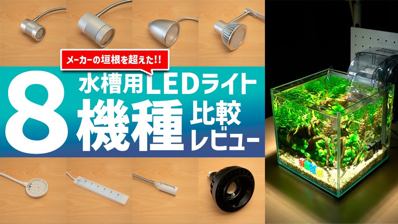 最強のLEDライトはどれだ！？小型水槽向けLEDライト８機種比較レビュー！ビバアクアのおすすめLEDはこれ！ #アクアリウム 【ビバアクア】