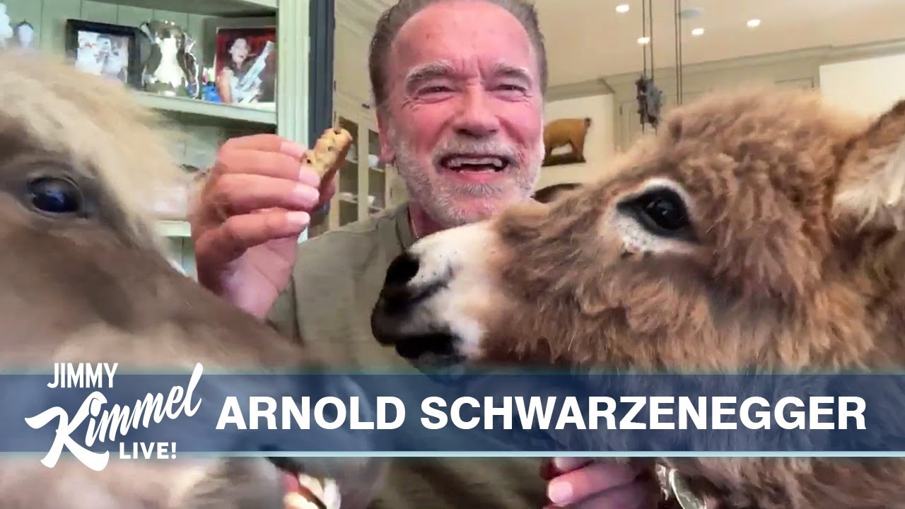 Arnold Schwarzenegger on Pandemic, Uniting Democrats & Republicans, and His Pets Whiskey & Lulu