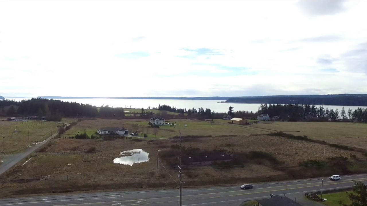 Camano Island BUD HUT run from the house. :)