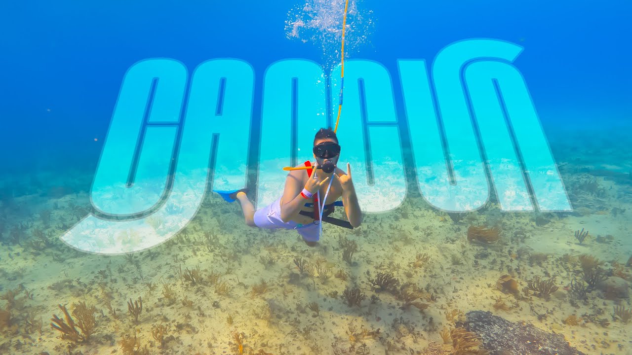 CANCÚN con AQUINO, DUXO Y C3JO 🌴