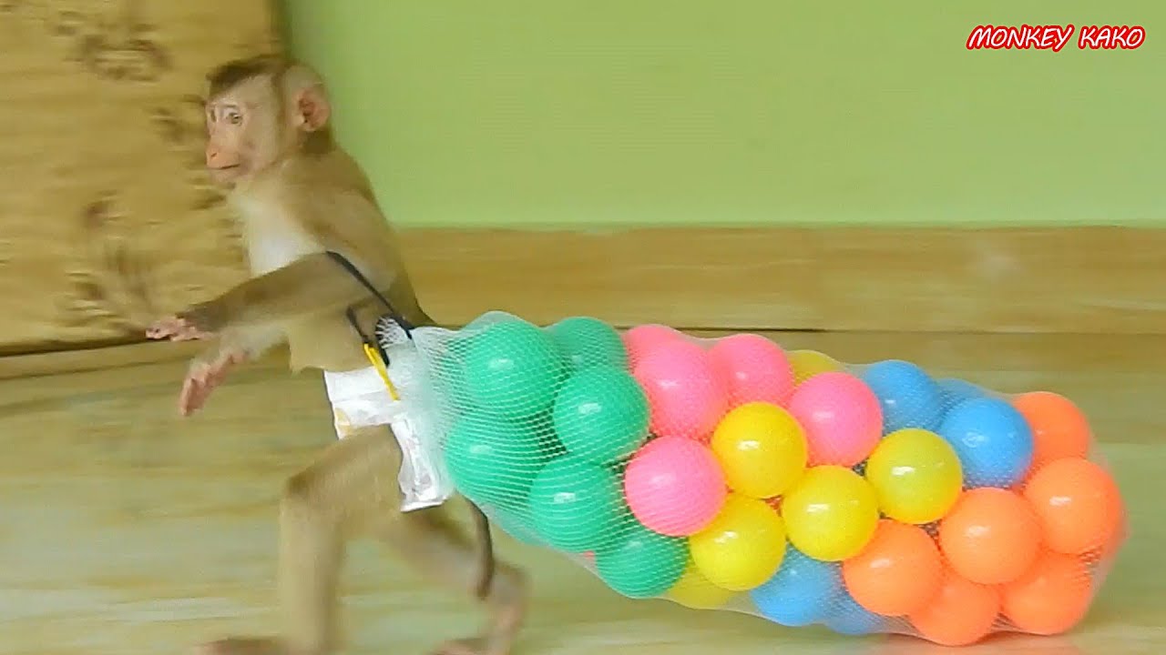 Adorable Monkey Kako Walking Drag Package And Playing Balls