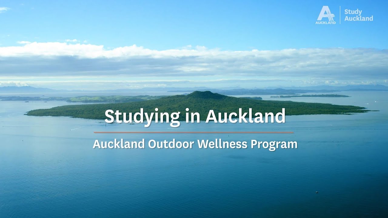 Come study in Auckland and discover its natural beauty