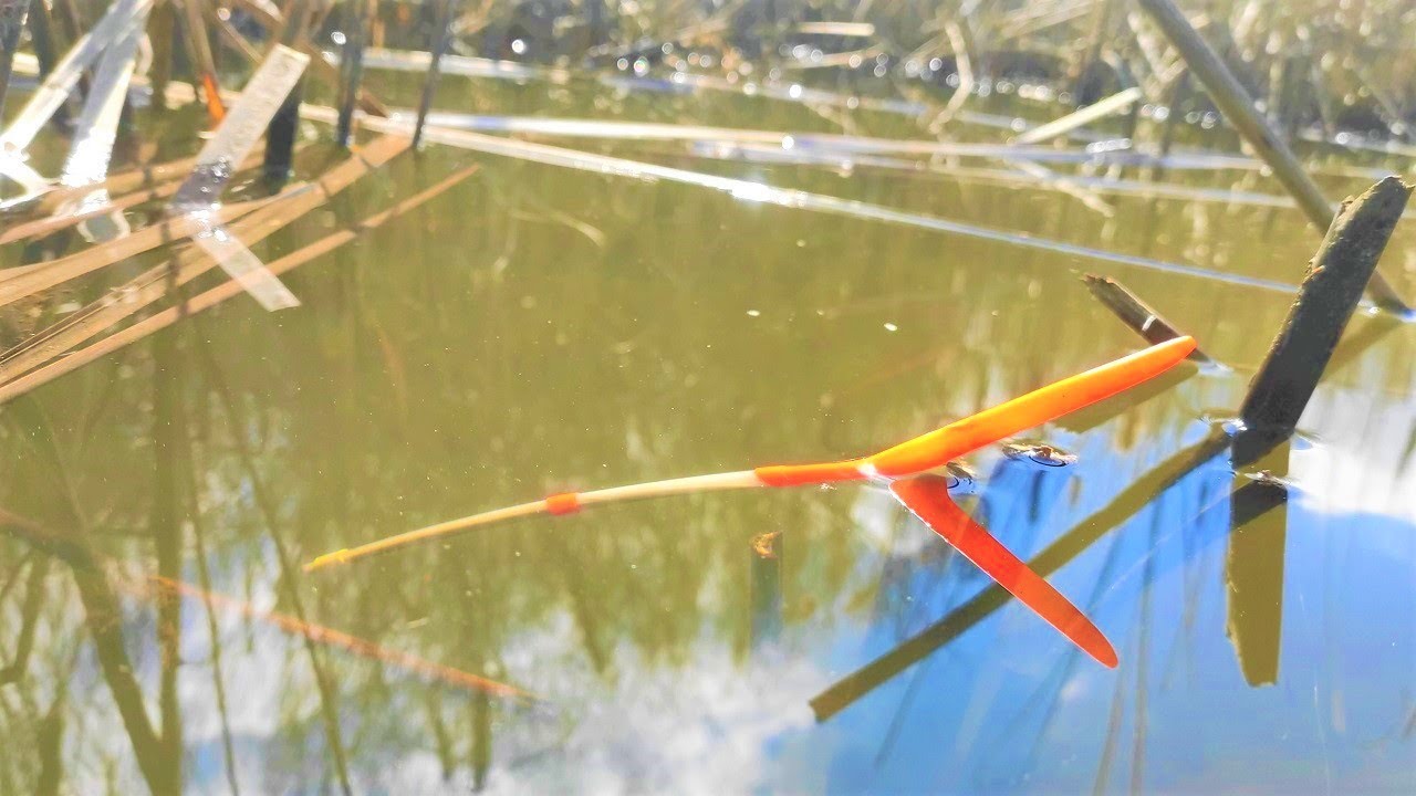 Крупные КАРАСИ ЛАПТИ кишат в ДРОВАХ... и ЖРУТ!!  Рыбалка на поплавок весной на реке