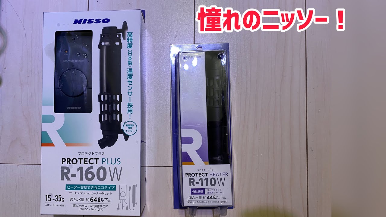 【金魚商品紹介】アクアリストの憧れ！【ニッソーさん】
