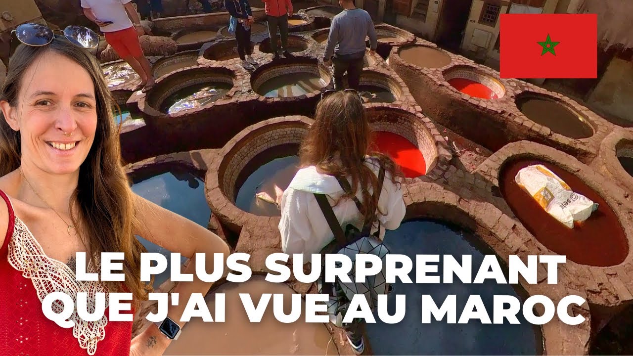 Volubilis & Fès : Plongée au Cœur de l’Histoire Marocaine