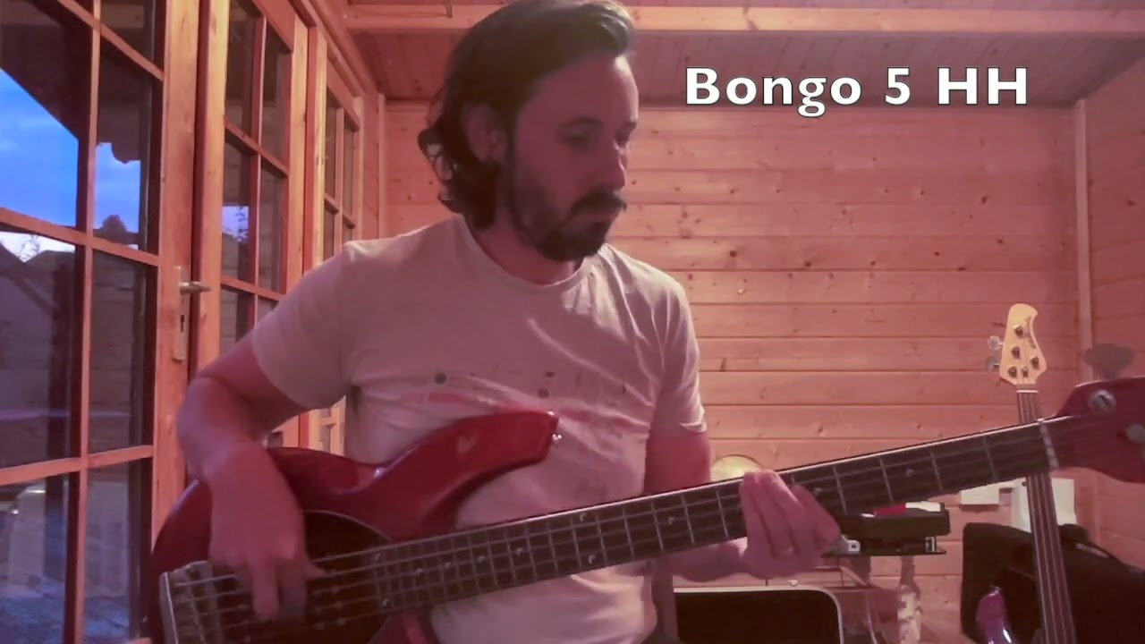Bass Comparison - Music Man Bongo vs Stingray