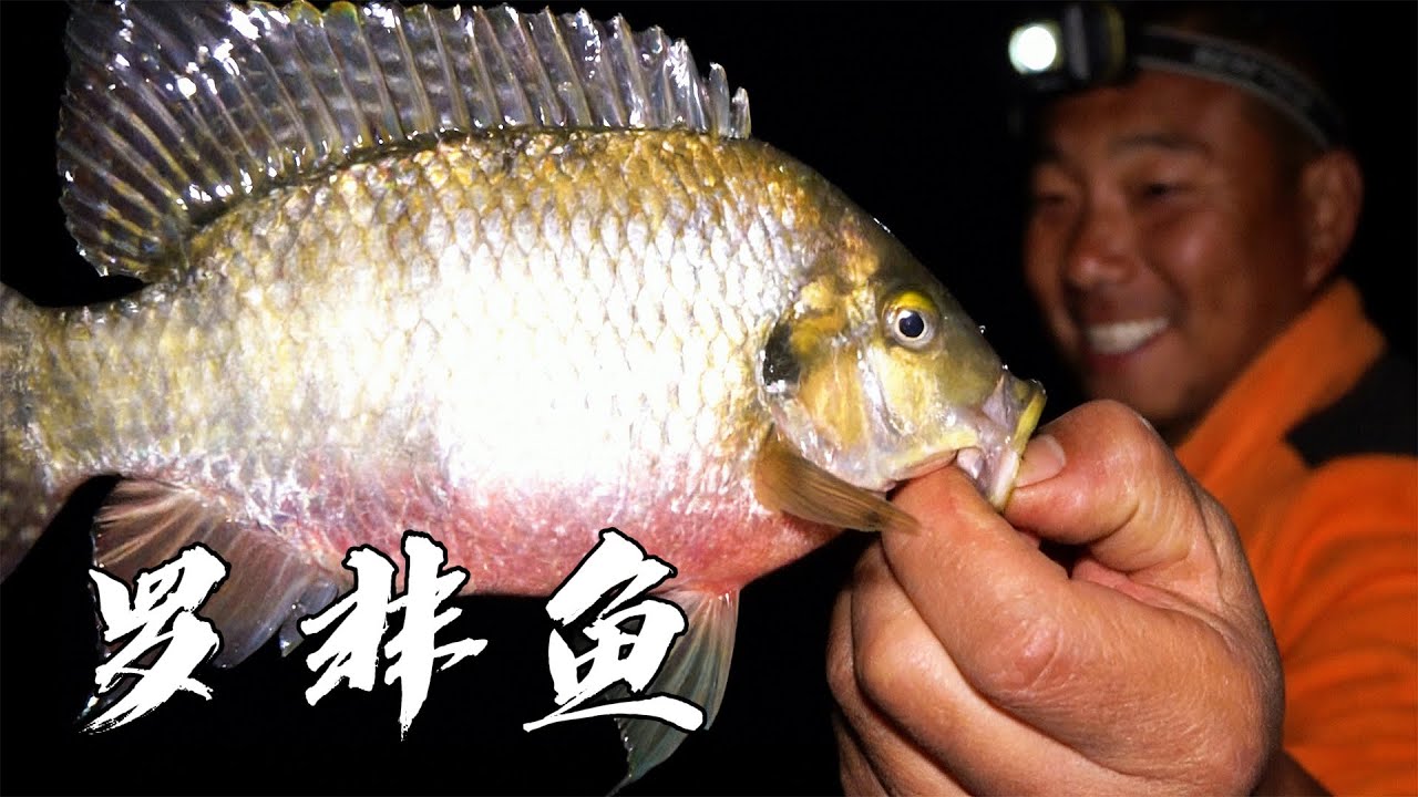 【湖库突击队】萬峰湖野生聖地，突擊隊親自出戰，釣百斤級魚種完成任務！| 海釣江湖