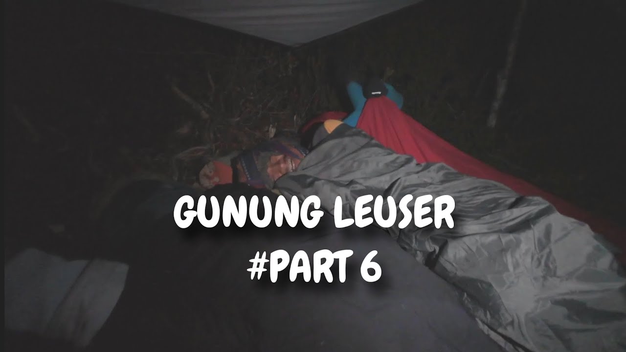 Pendakian gunung leuser || 12 hari tidur tanpa tenda