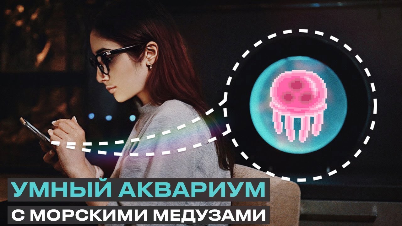 МОРЕ У ВАС ДОМА? МЕДУЗЫ | Как содержать такой необычный аквариум и питомцев
