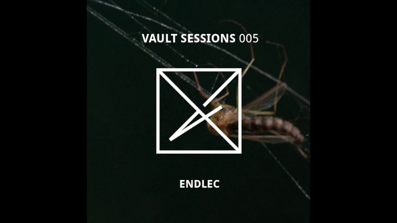 Vault Sessions #005 Endlec | Radion ADE