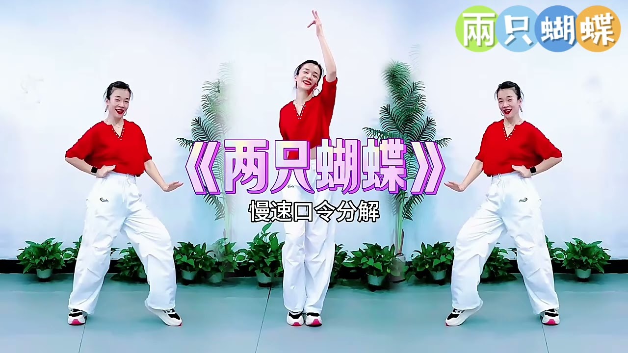 兩只蝴蝶
